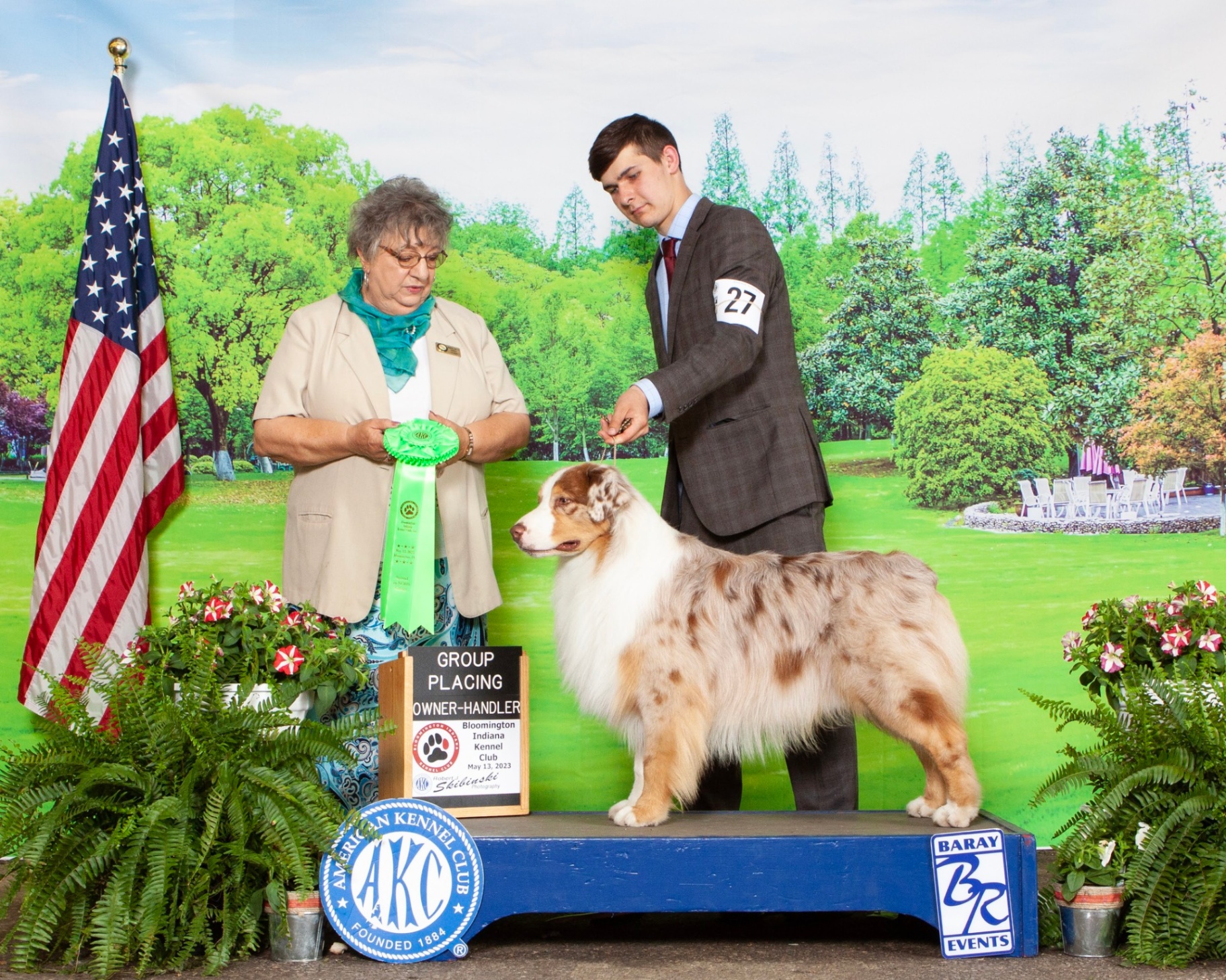 Red merle Australian Shepherd 'Rogue' (AKC CH Thornapple Outta Line At Star) earning an Owner-Handler Group Placing at the Bloomington Indiana Kennel Club show