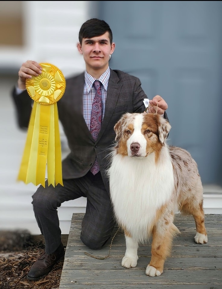 Rogue, a red merle Australian Shepherd, with handler holding AKC ribbon