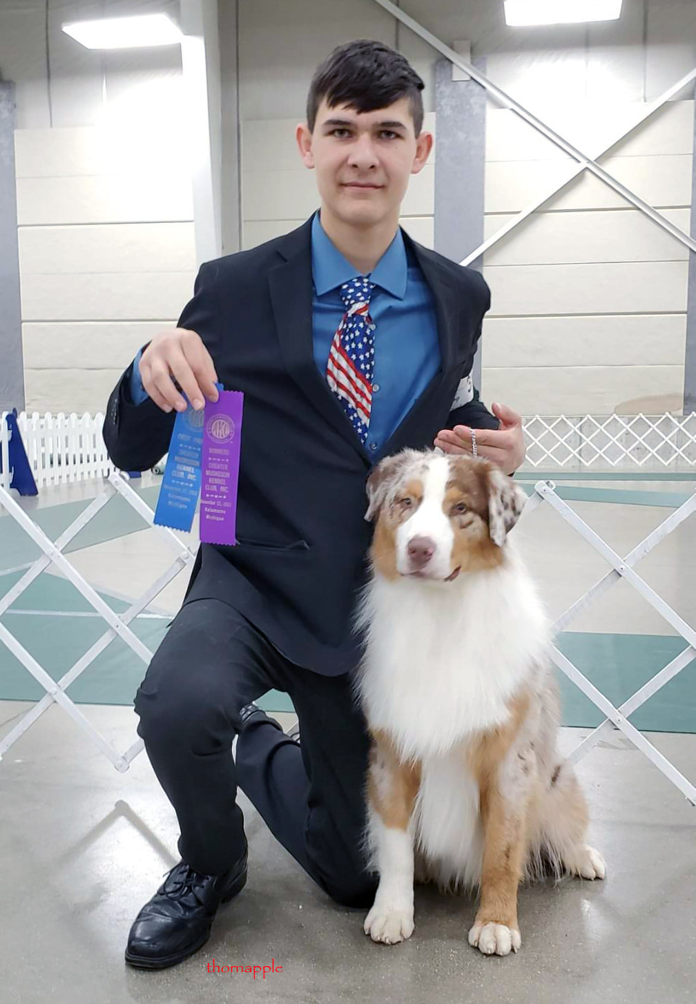 Red merle Aussie with First Place AKC ribbon
